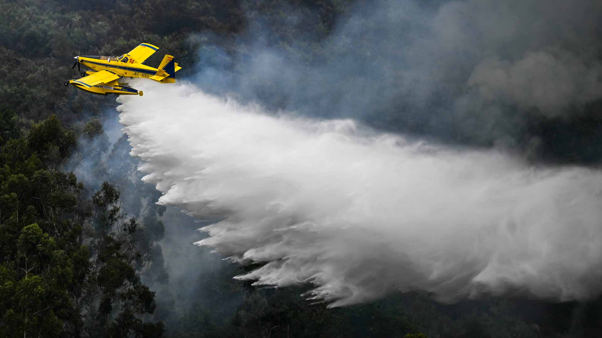 Image for the title: Europe heat sparks harmful ozone pollution, 'extreme' fire risk 