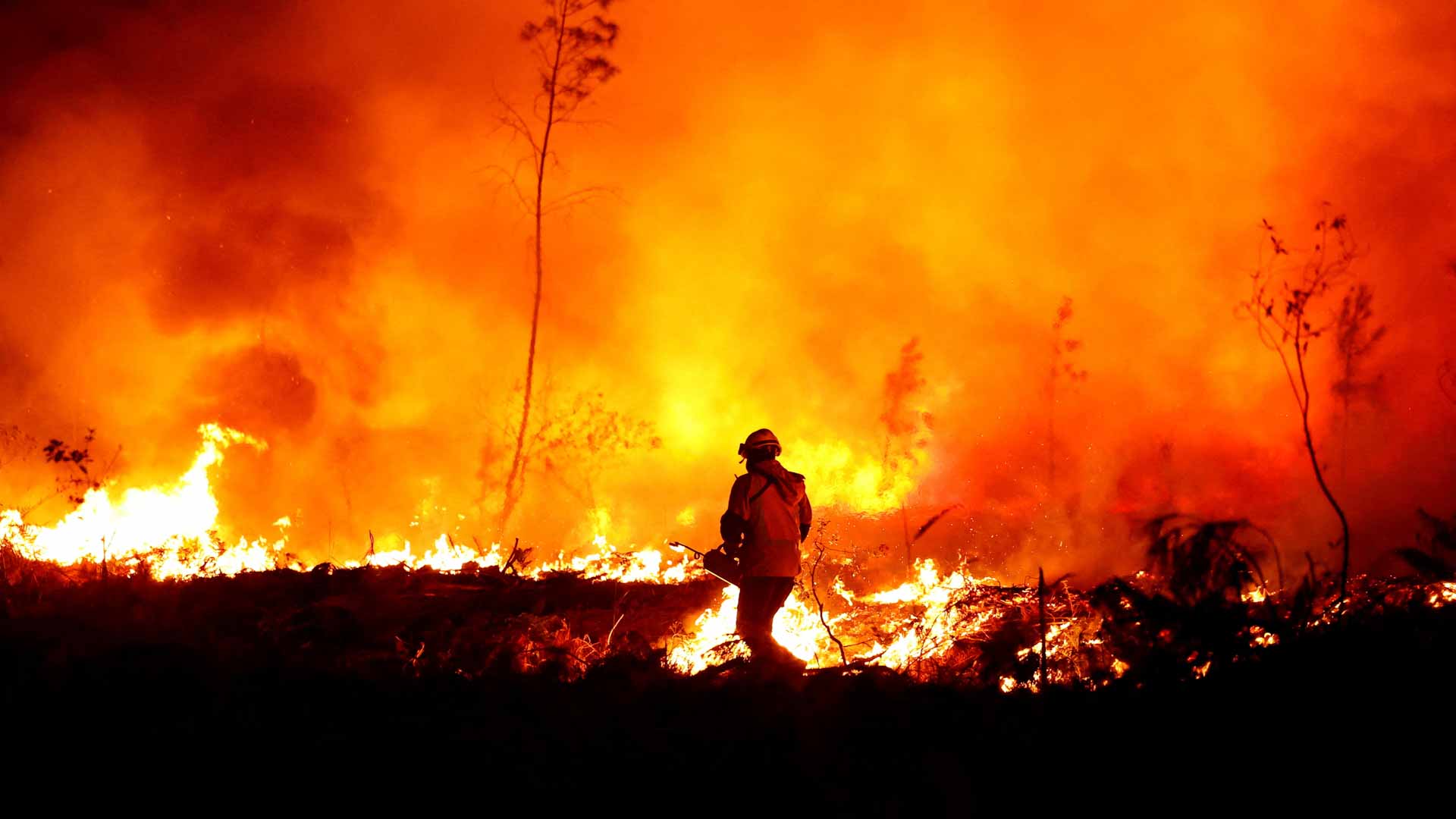صورة بعنوان: فرنسا تكافح حرائق غابات هائلة وبريطانيا تسجل أعلى درجة حرارة  