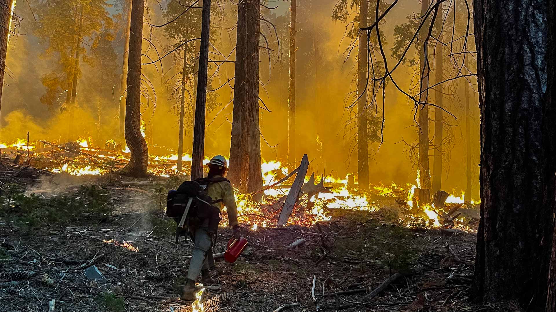 Image for the title: US heat wave soars as California wildfire rages 
