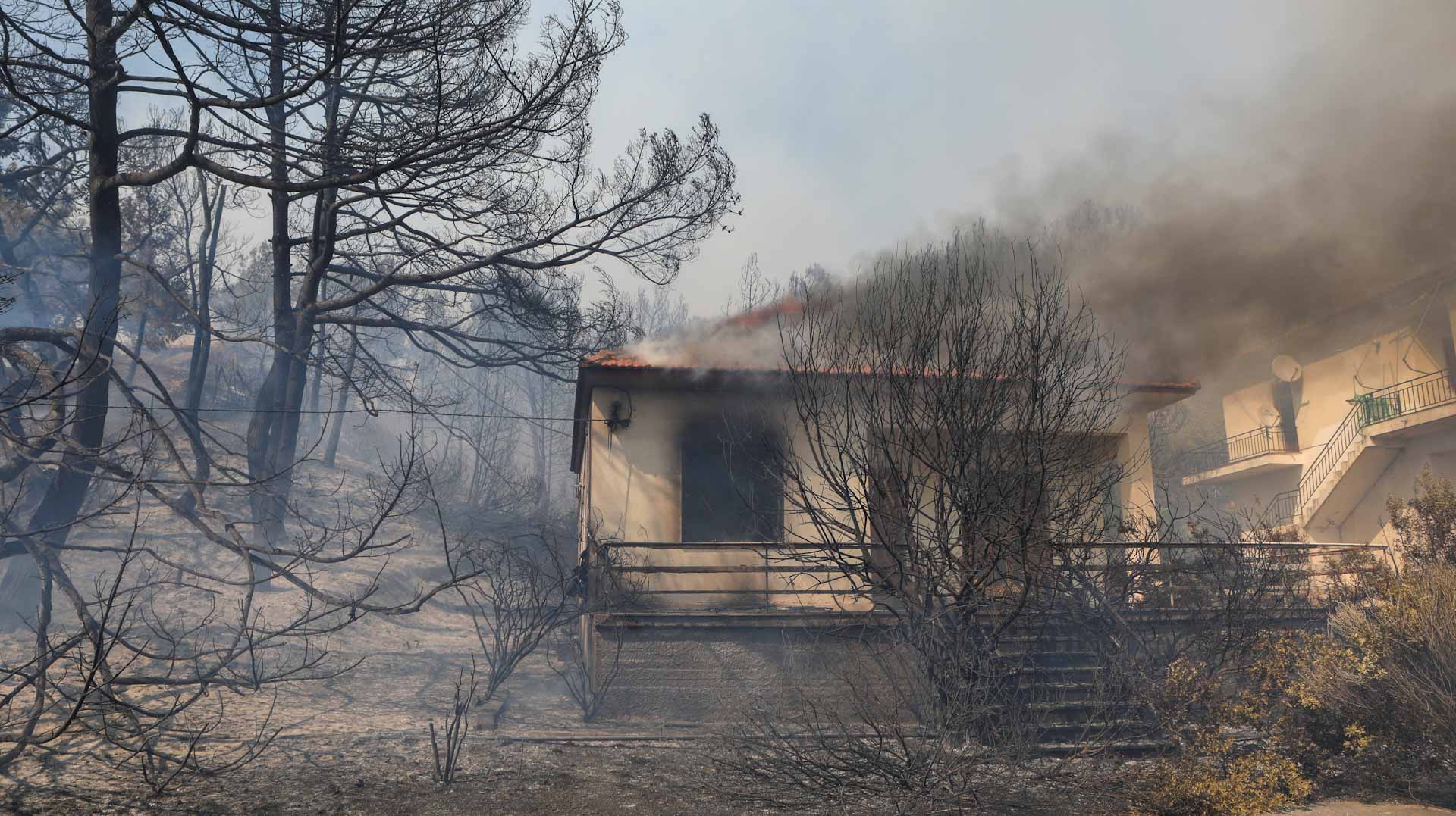 Image for the title: Wildfire burns coastal homes in Greek island Lesbos 