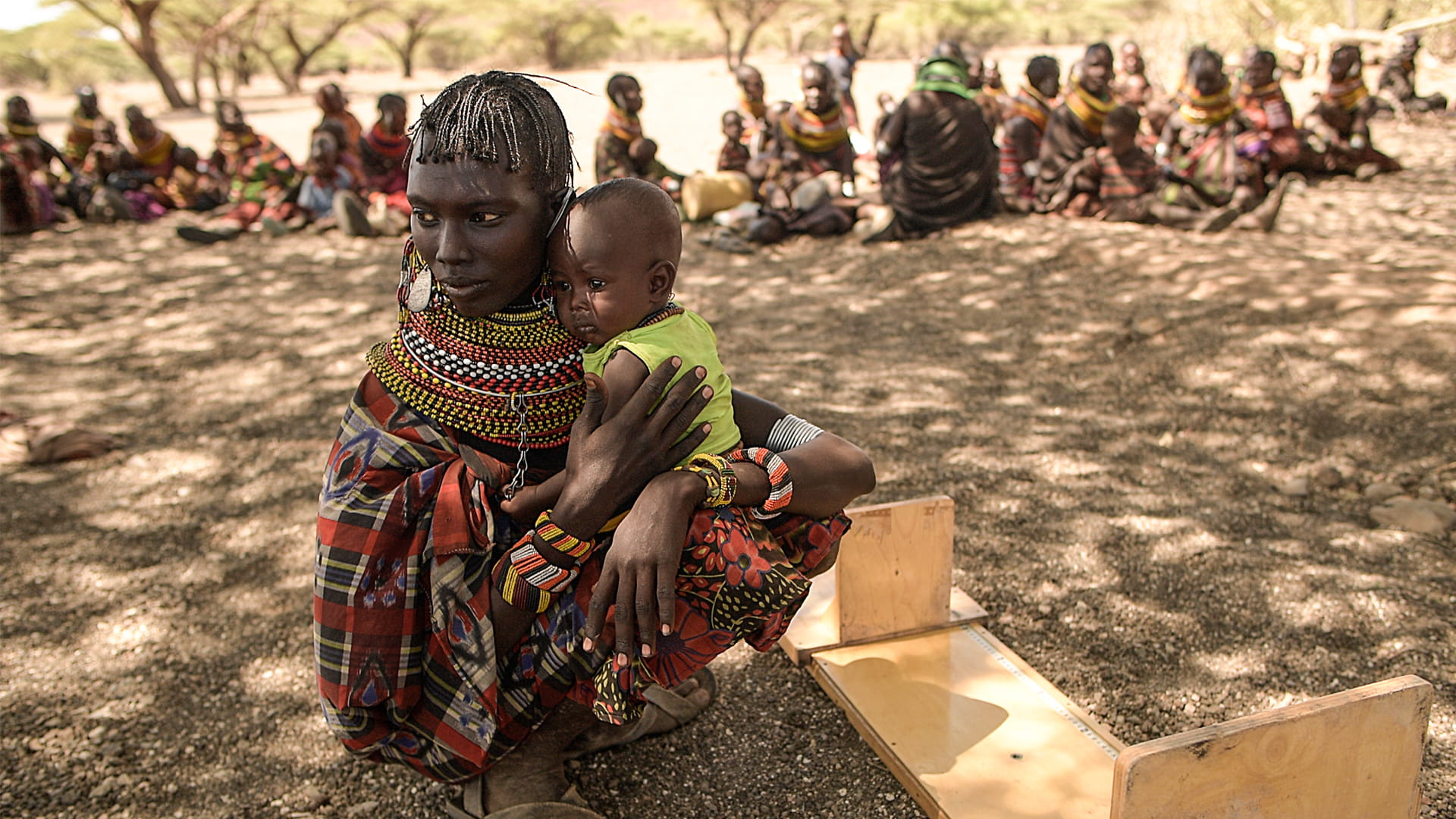 صورة بعنوان: الجفاف يضرب شمال كينيا ويهدد الملايين بالمجاعة  