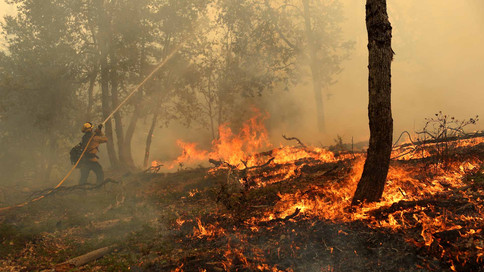 Image for the title: Thousands evacuated as California wildfire grows 