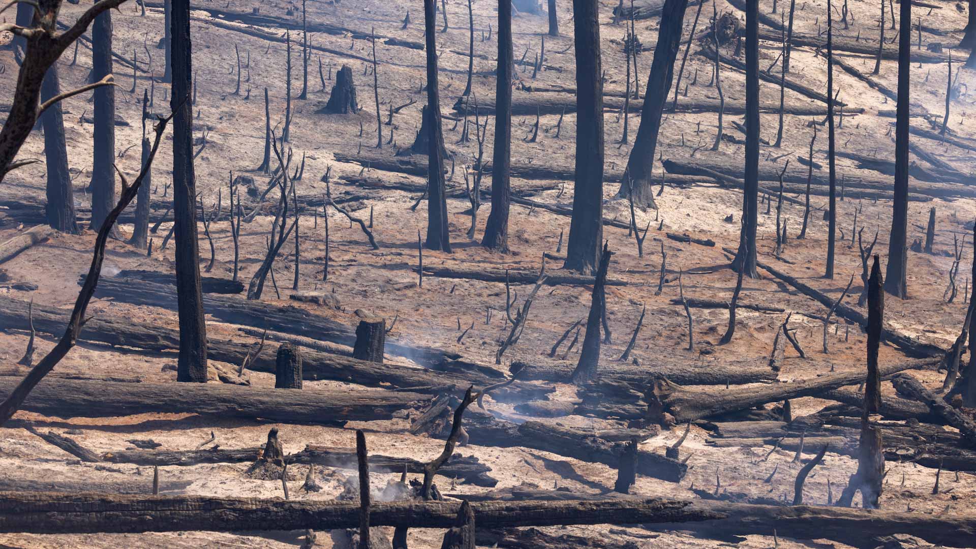 Image for the title: Firefighters tackle California wildfire as heat wave grips 