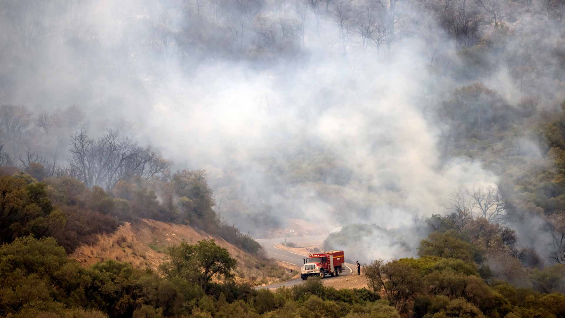 Image for the title: Two killed in Morocco forest fires 