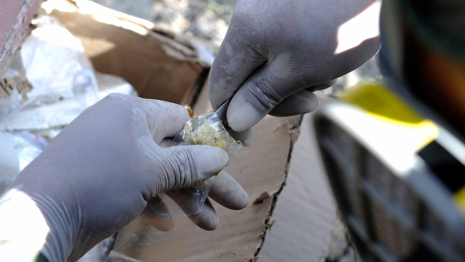 Image for the title: Mexico seizes 1.6 tonnes of cocaine in capital 