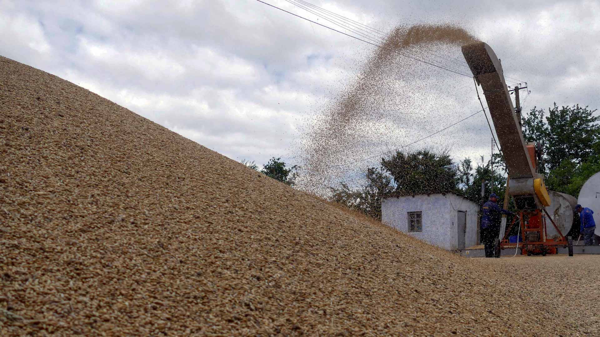 صورة بعنوان: إسطنبول:افتتاح مركز مراقبة تصدير الحبوب عبر البحر الأسود إلى الدول 