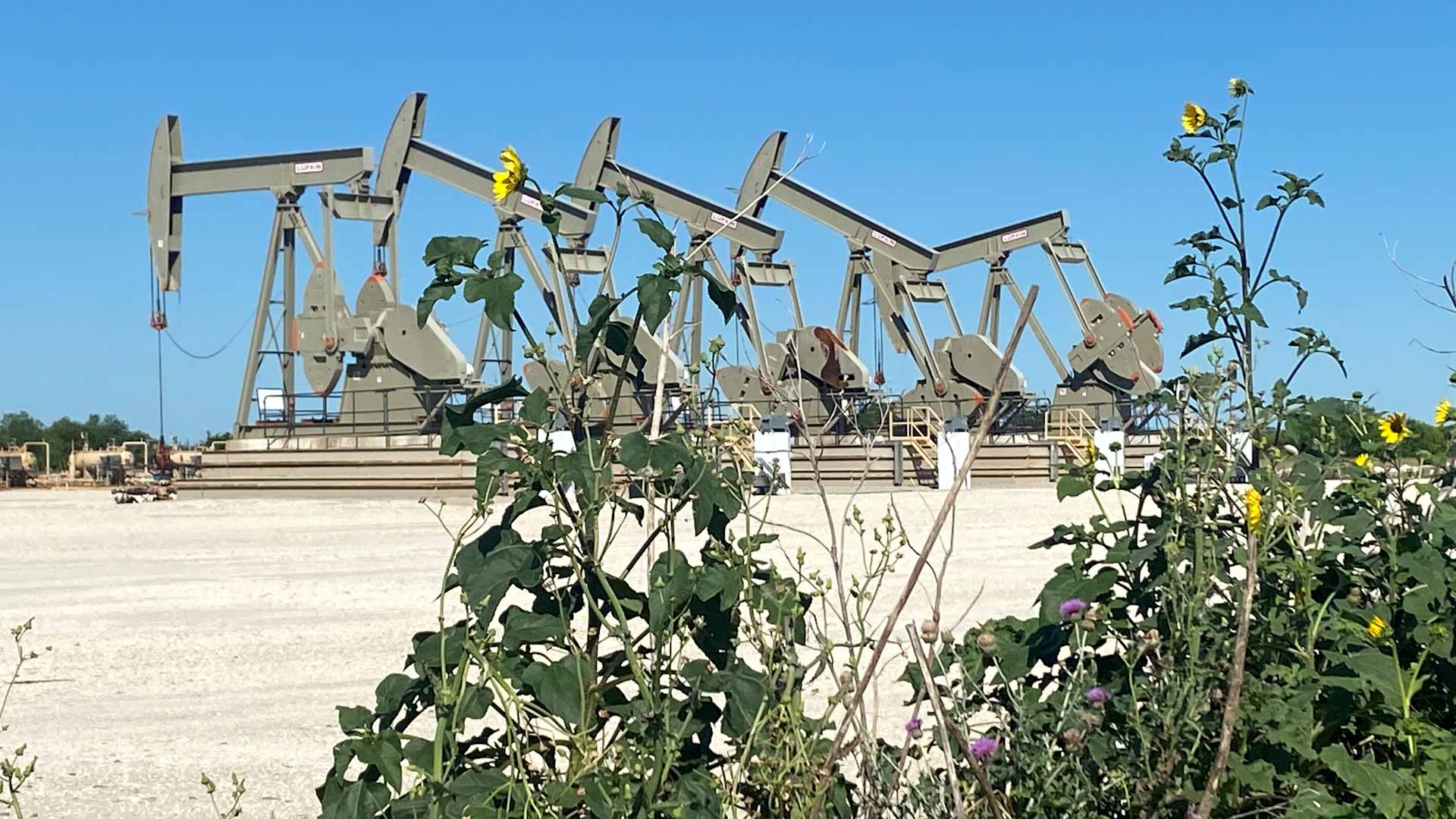 صورة بعنوان: النفط يواصل مكاسبه مع تحسن شهية المخاطرة بين المستثمرين 