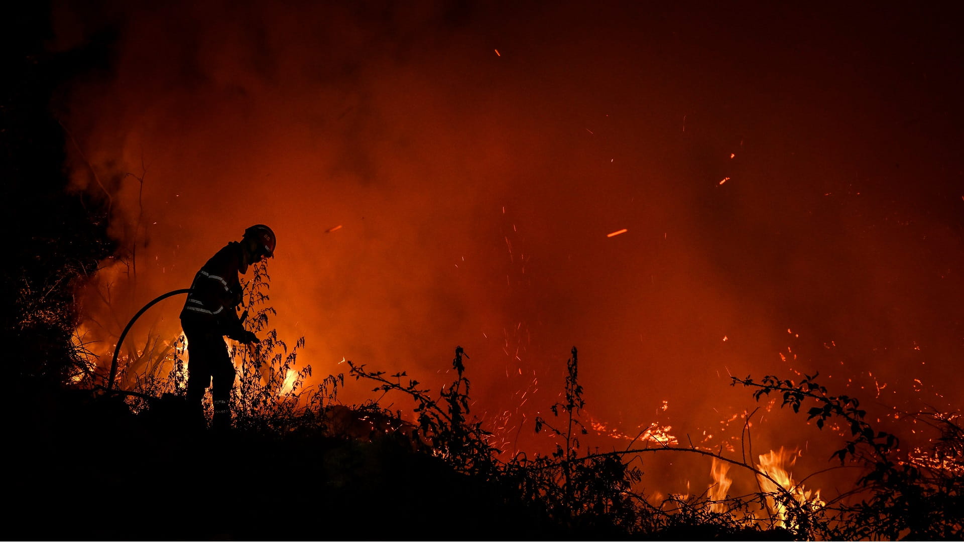 Image for the title: Hundreds of firefighters battle blaze near Lisbon 