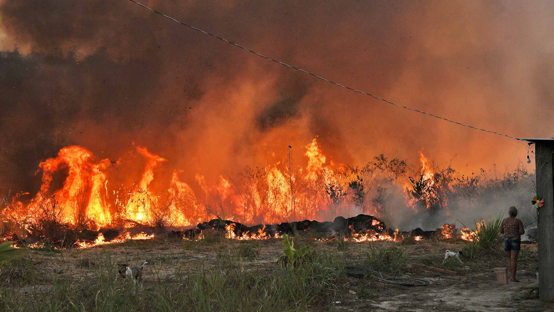 Image for the title: Fires surge in May in Brazilian Amazon, Cerrado 