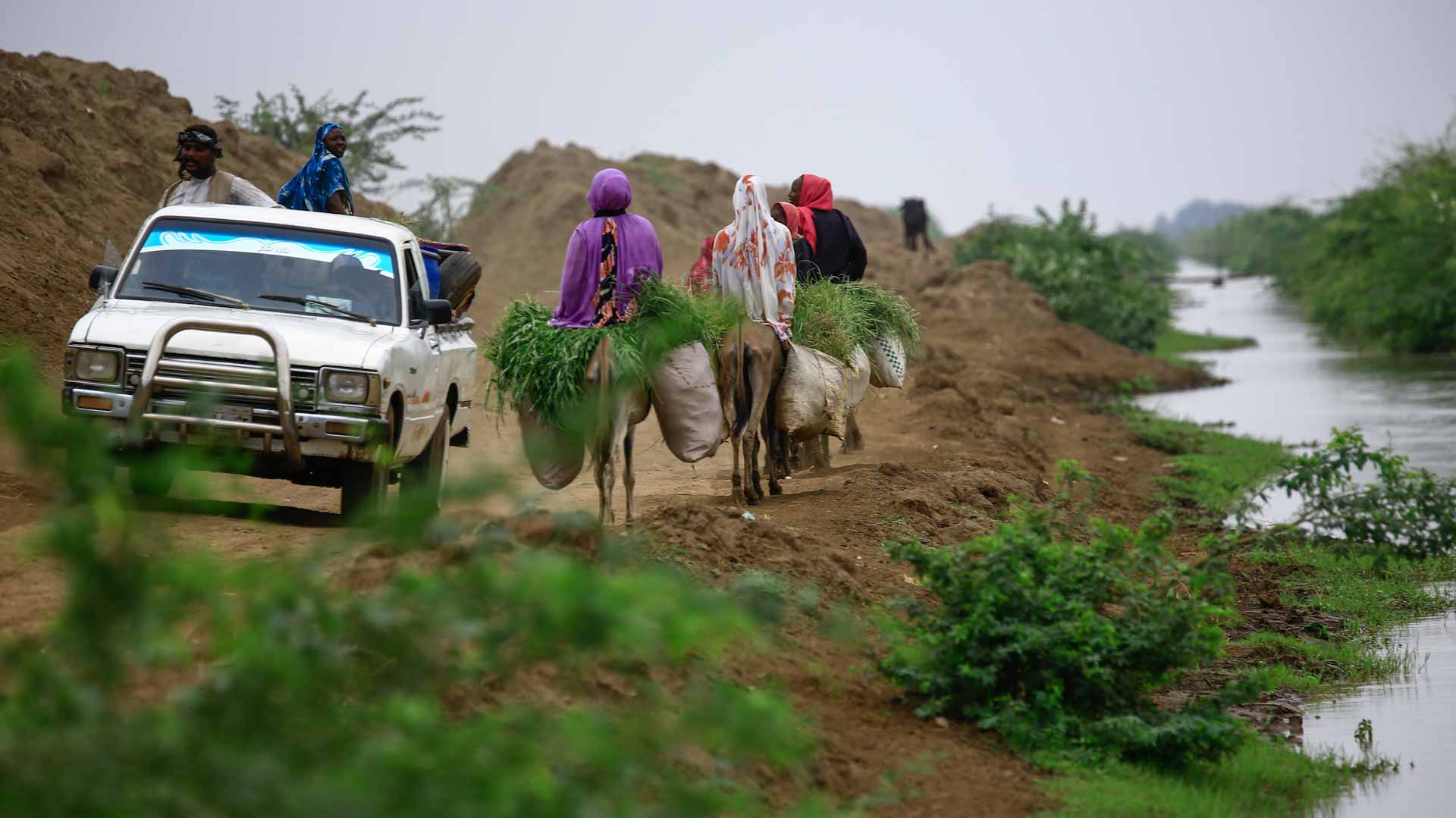 Image for the title: Sudanese farmers warn of failing harvests as hunger rises 