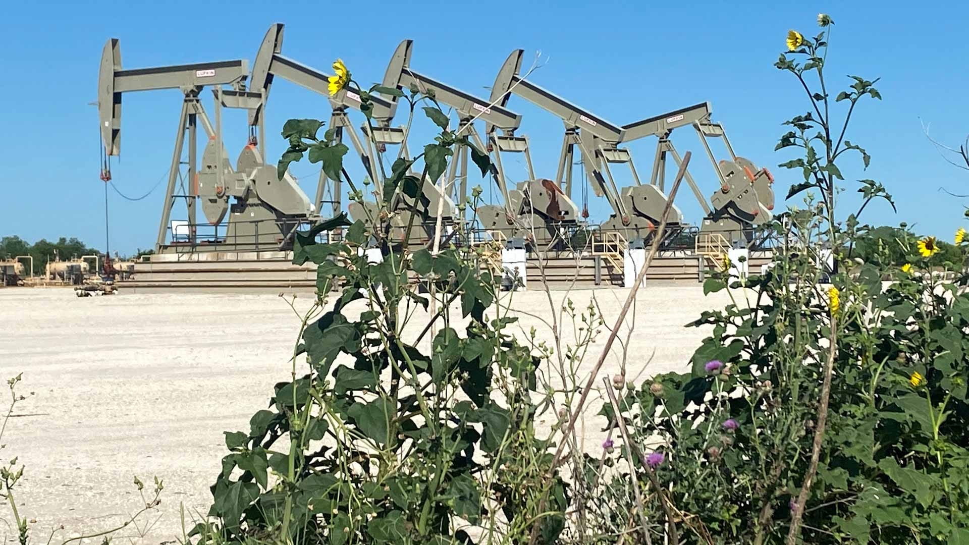 صورة بعنوان: أسعار النفط تواصل الصعود بفضل طلب أميركي قوي  