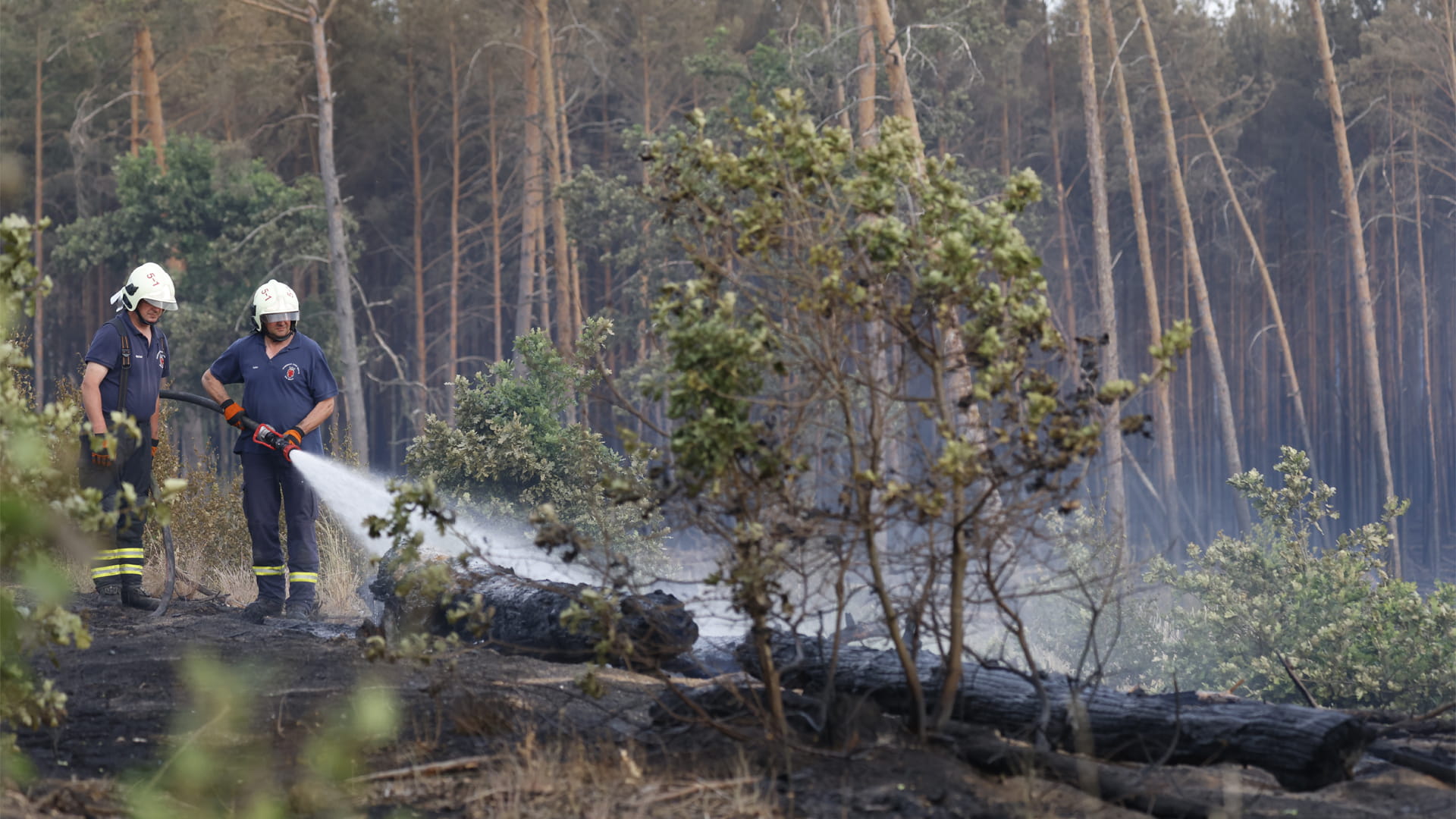 صورة بعنوان: موجة الحرّ تتجه نحو شرق أوروبا وتتسبب بحرائق قرب برلين 