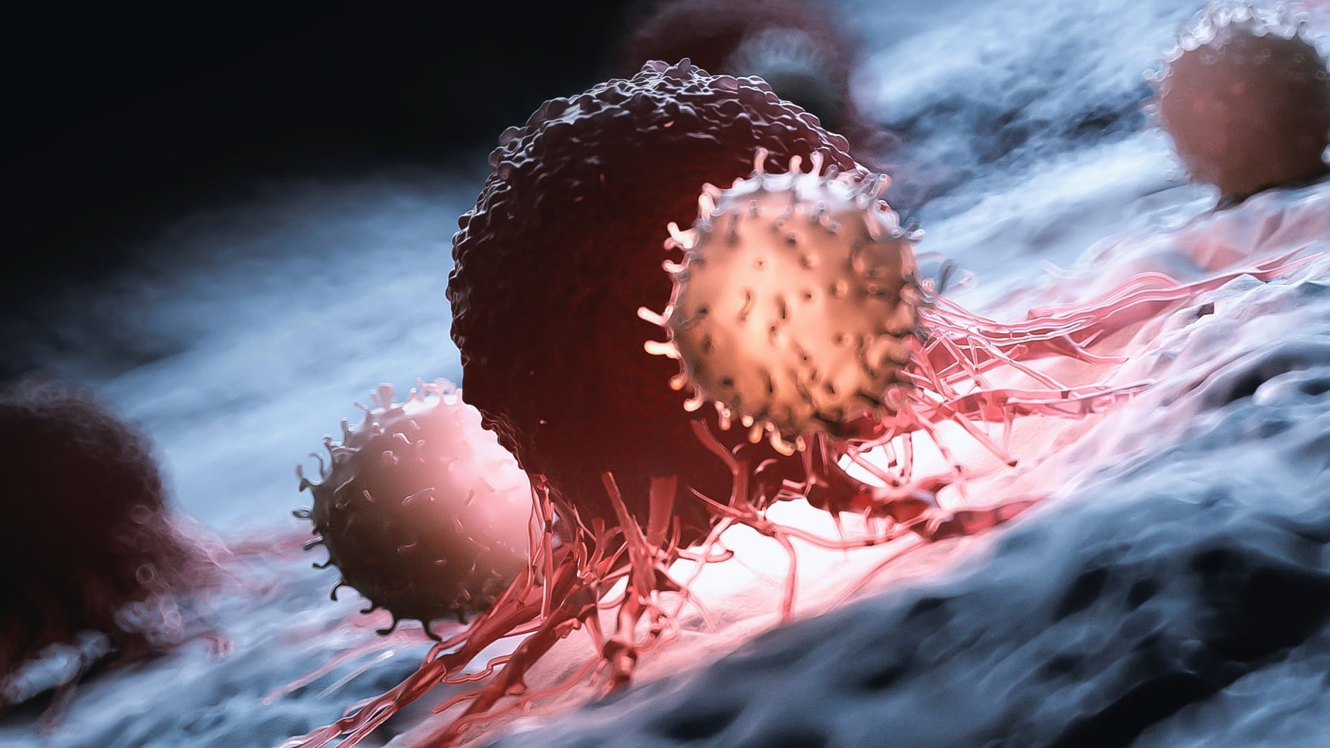 صورة بعنوان: باكتشاف طبي جديد...الأنزيم "ERX-41"يقتل نوعاً صعباً من سرطان الثدي 