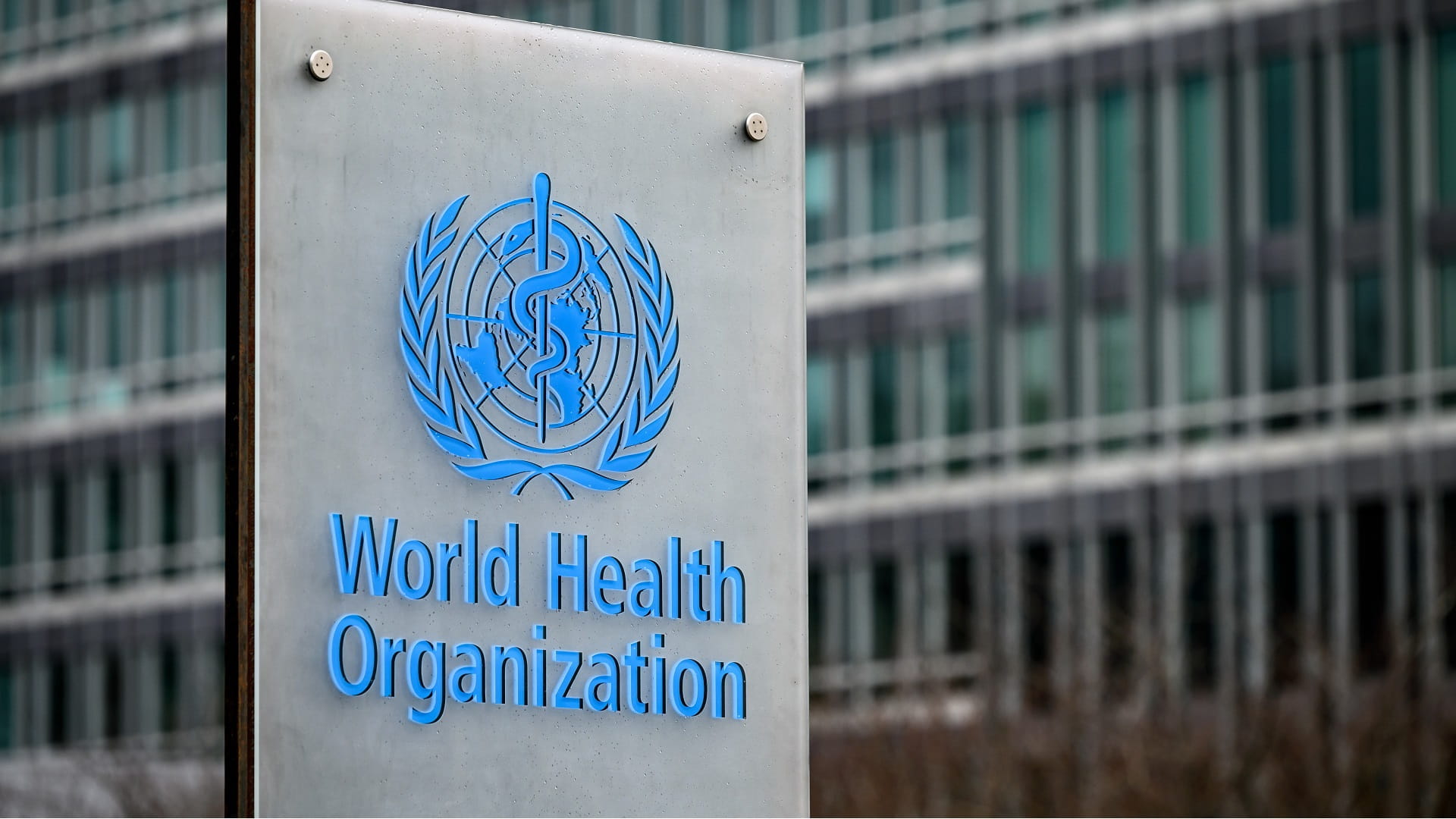 Image for the title: WHO emergency committee decides on monkeypox outbreak 