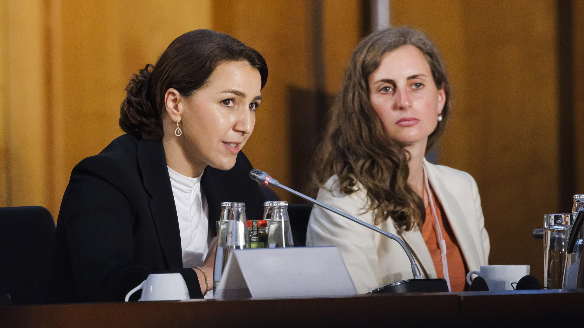 صورة بعنوان: المهيري تستعرض بمؤتمر في برلين تدابير معالجة أزمة الغذاء العالمية 