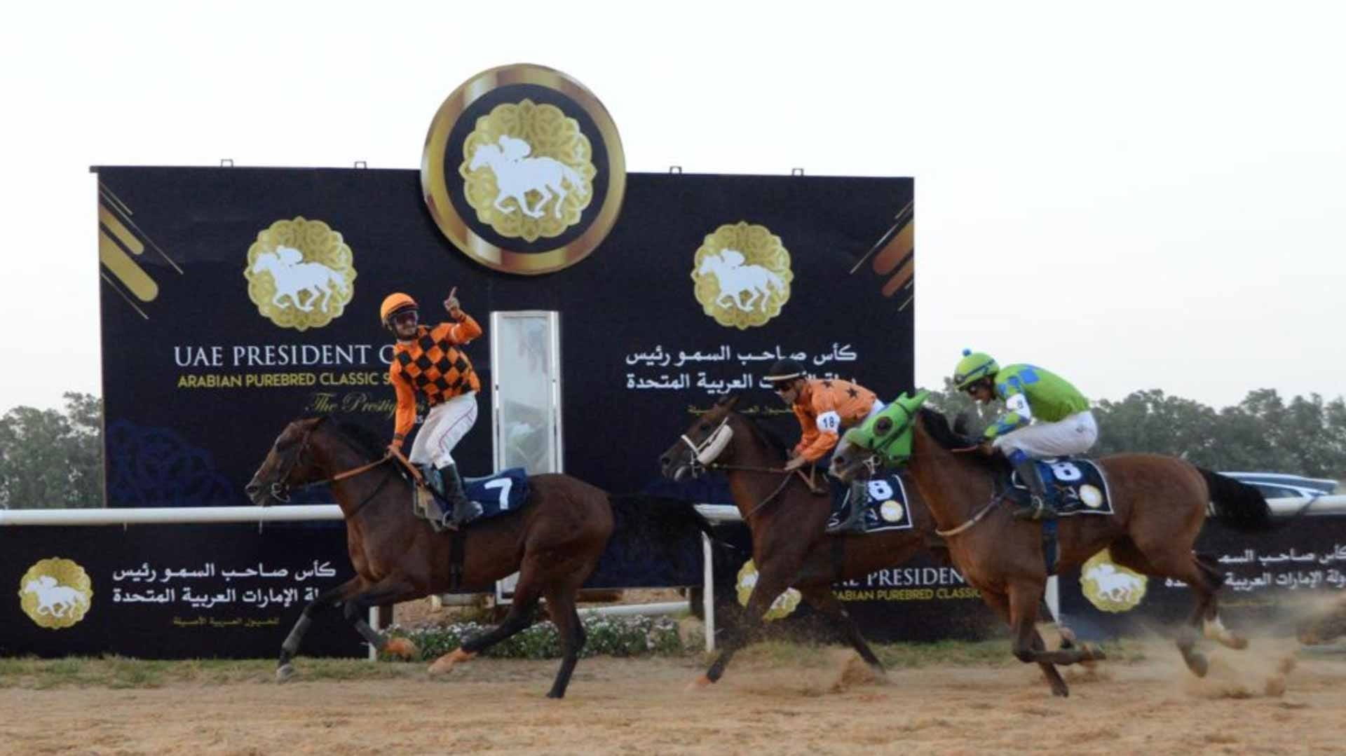 صورة بعنوان: الجواد "خدام" بطل كأس صاحب السمو رئيس الدولة للخيول العربية بتونس 