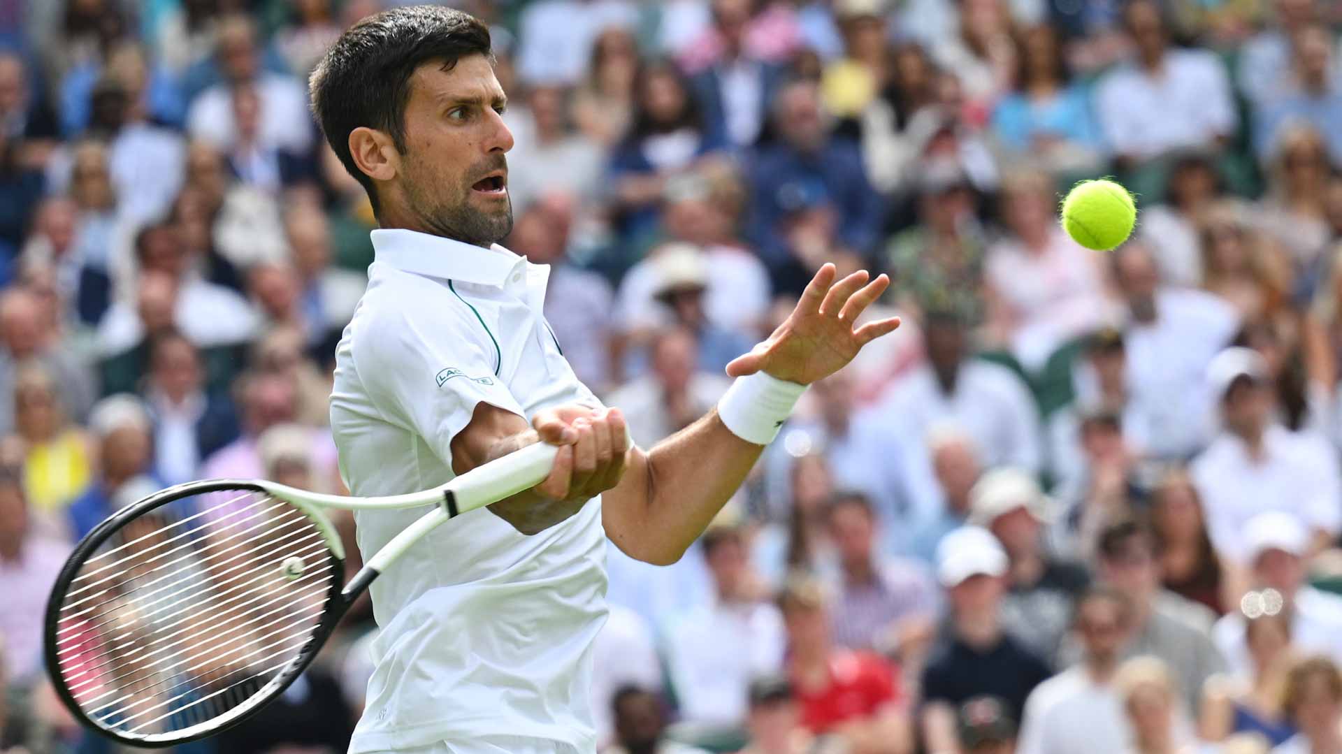 صورة بعنوان: الصربي ديوكوفيتش يبلغ الدور الثالث في بطولة ويمبلدون  