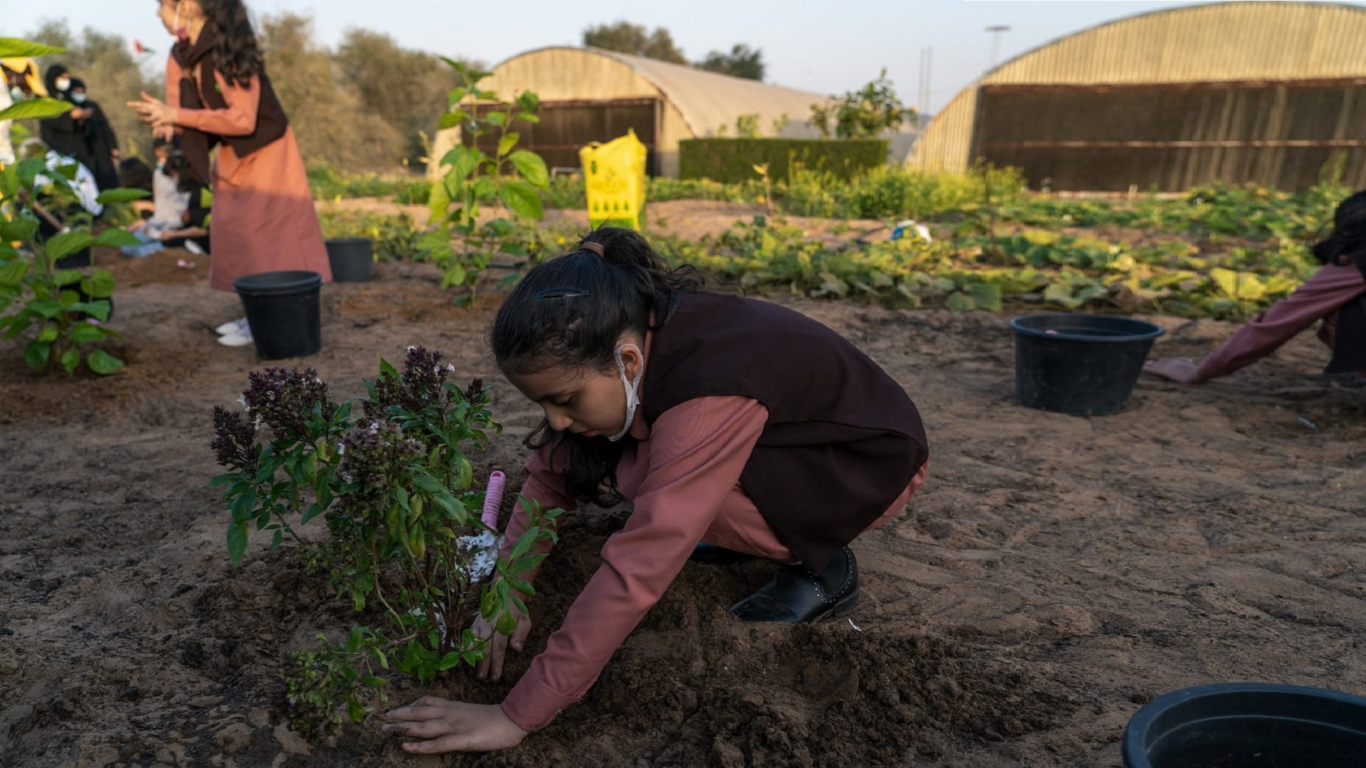 صورة بعنوان: مفوضية مرشدات الشارقة تحتفي بـ "أسبوع التشجير" 