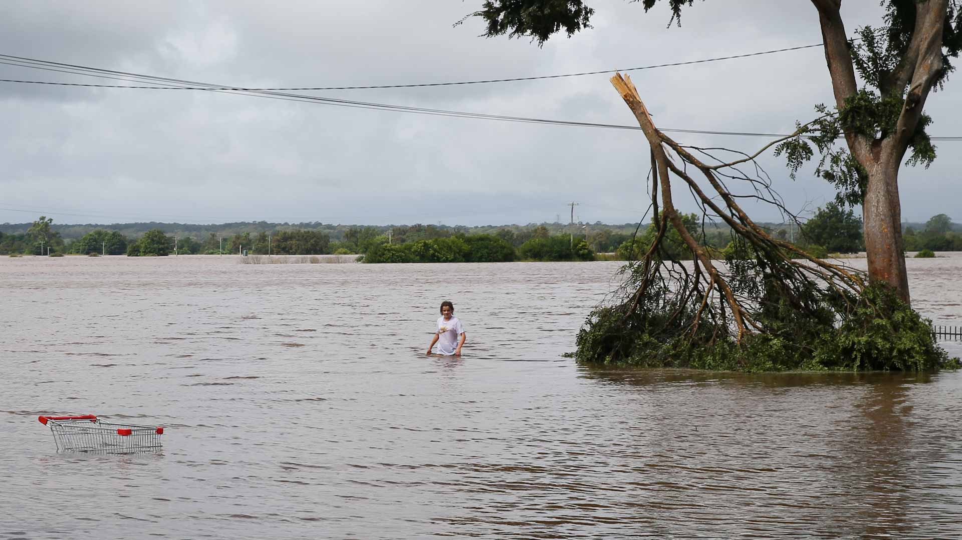 Image for the title: Australia over slow flood relief, more rains to lash Sydney 