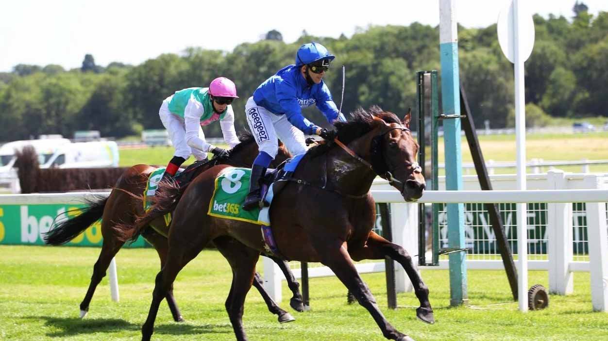 Image for the title: 53 Emirati horses to compete in Dubai World Cup 2022 