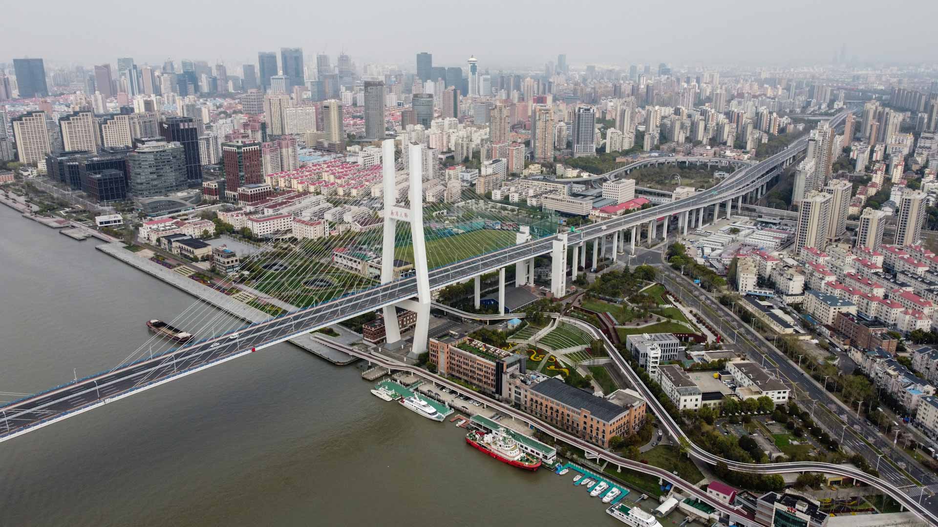 Image for the title: Shanghai urges COVID lockdown patience as case numbers drop 