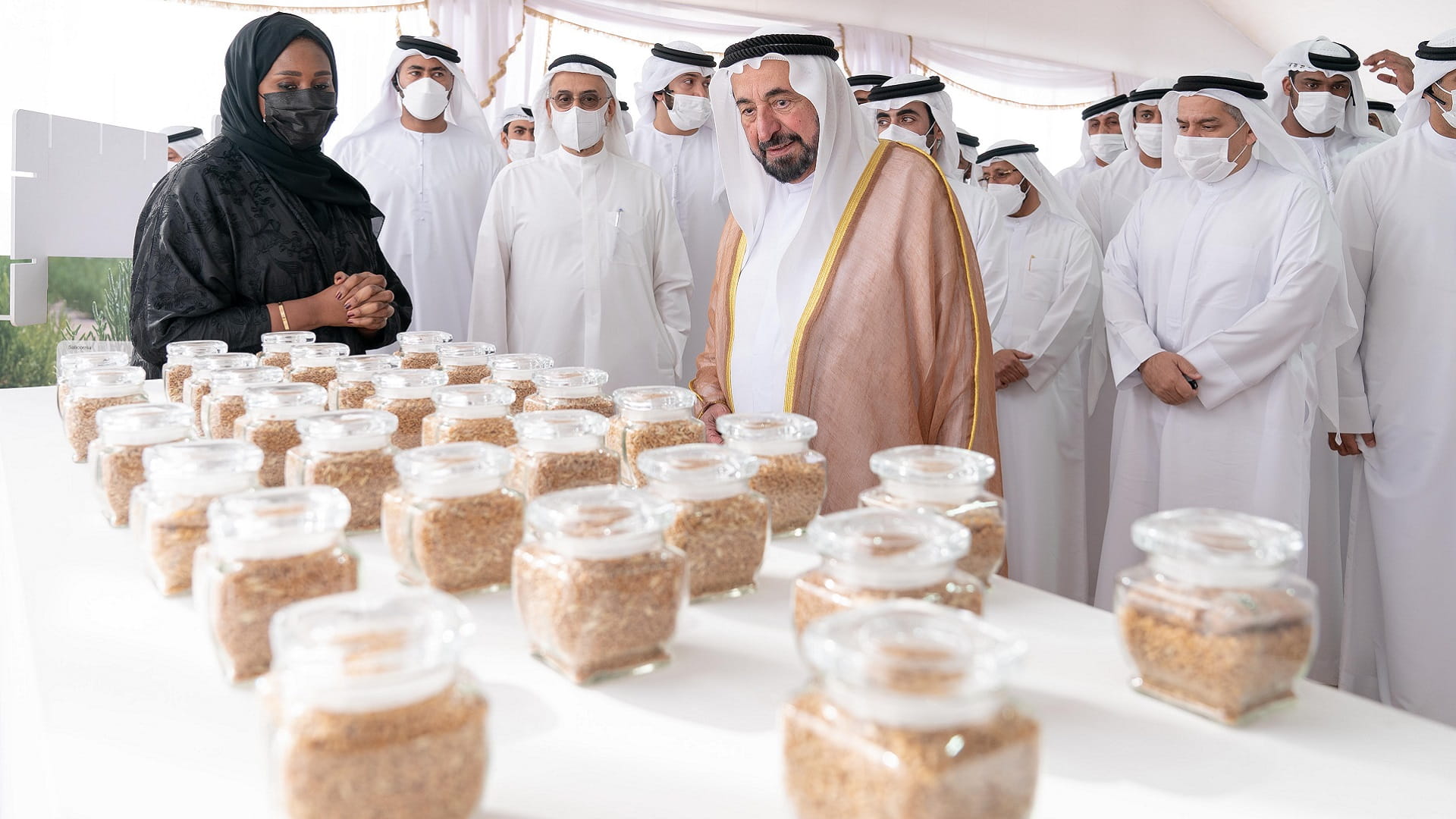 Image for the title: Sharjah Ruler inaugurates wheat farm project in Mleiha area 