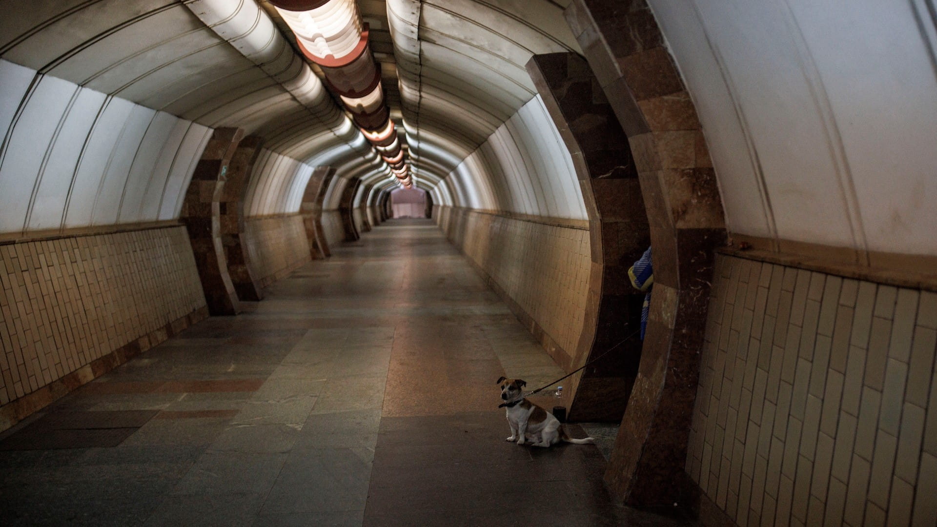 صورة بعنوان: قيود على وسائل النقل العام في بكين لوقف انتشار كورونا 