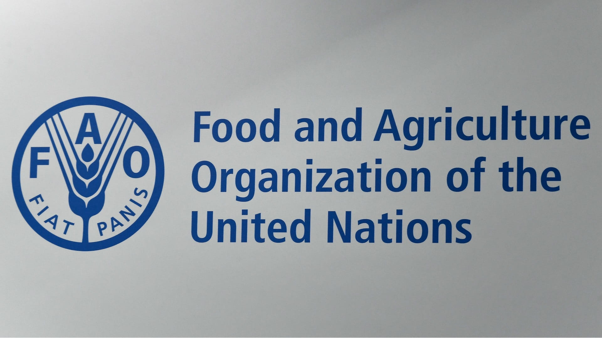 Image for the title: FAO: 40 million more faced acute hunger in 2021 