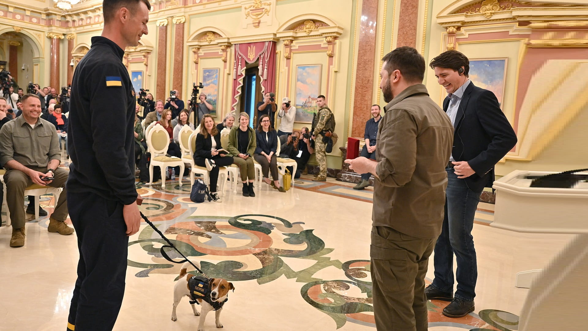 صورة بعنوان: زيلينسكي يمنح كلباً أوكرانياً وساماً لمساهمته بالكشف عن الألغام 