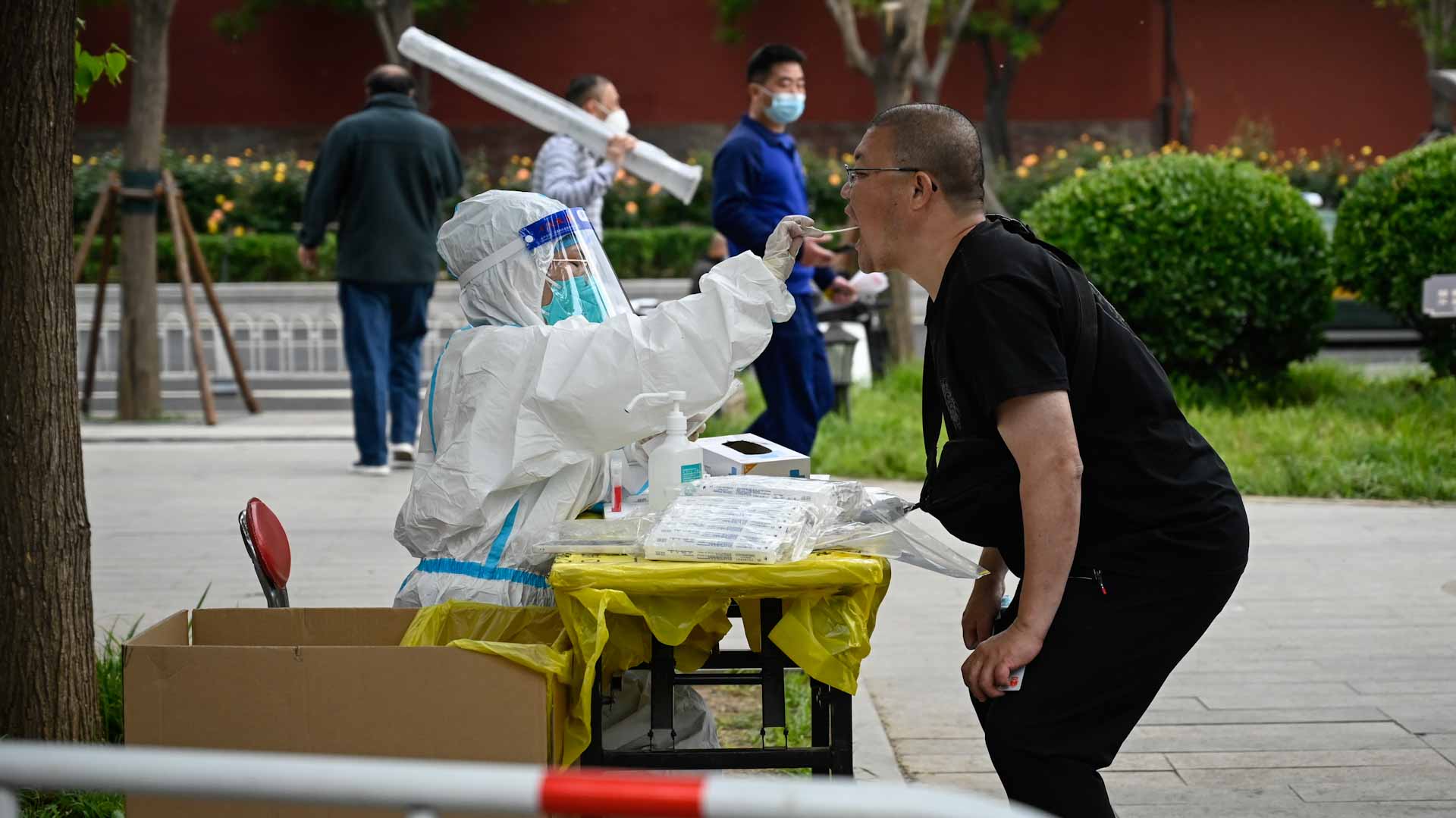 Image for the title: Global COVID-19 cases cross 514.83 million 