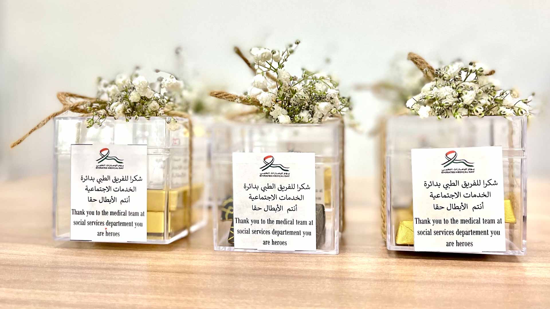 Image for the title: SSSD marks Emirates Medical Day 