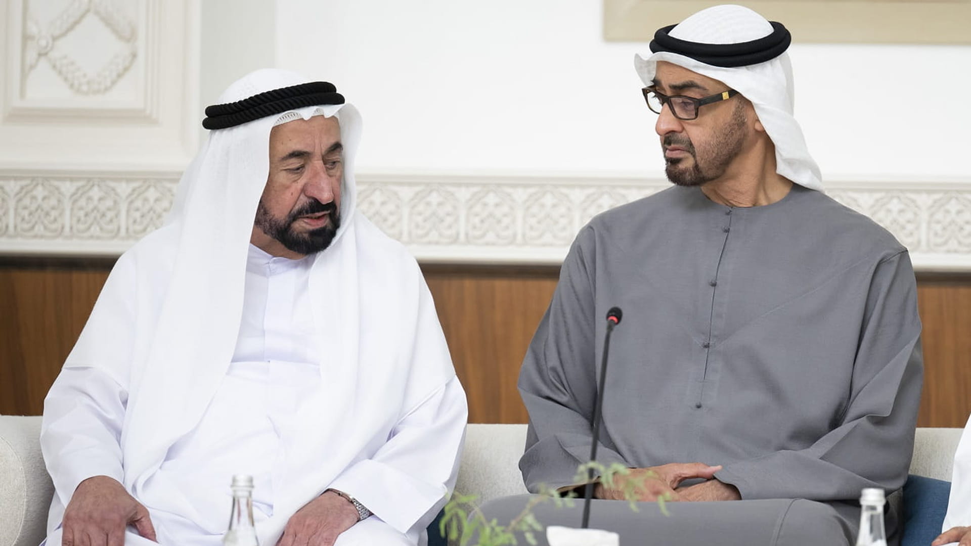 صورة بعنوان: محمد بن زايد يستكمل المسيرة  