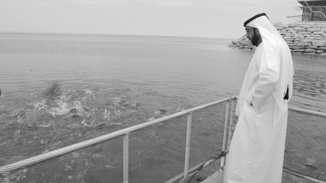 صورة بعنوان: الإمارات في عهد خليفة...استراتيجيات وسياسات مالية ونقدية طموحة 