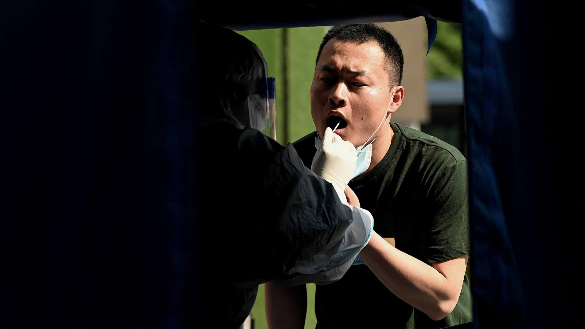 Image for the title: Taiwan backers seek invitation to major health assembly, WHO says 