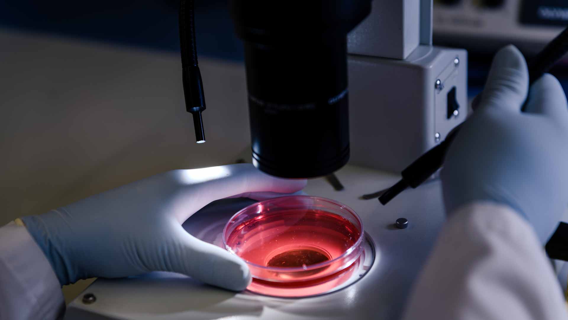 صورة بعنوان: الاختبارات الجينية...ماهي وهل تحتاجها؟ 