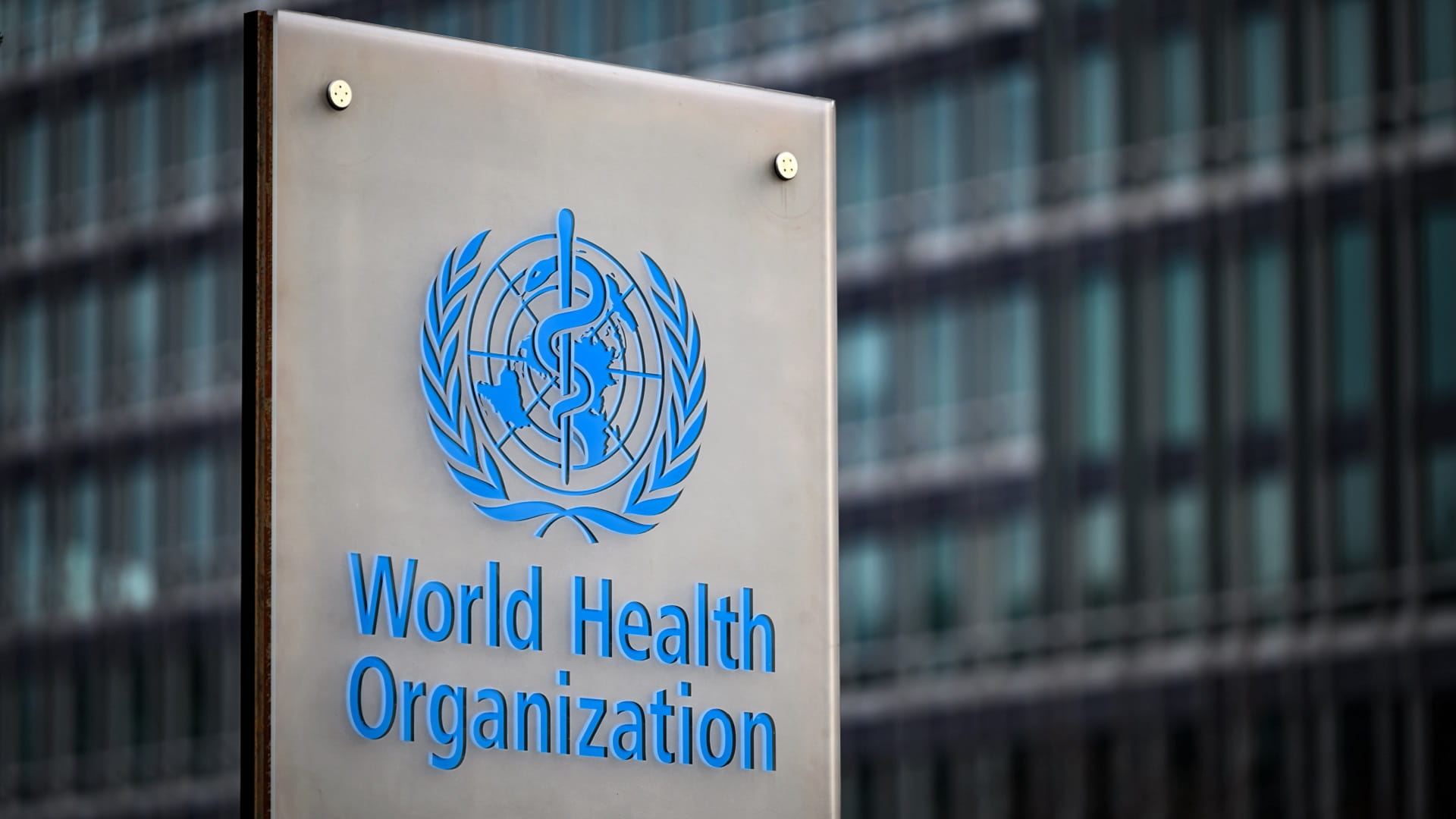Image for the title: WHO working closely with countries responding to monkeypox 