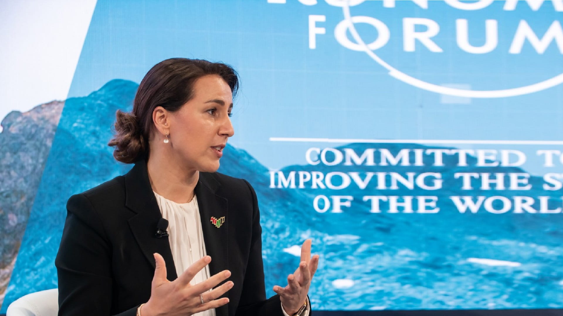 صورة بعنوان: المهيري: الإمارات ملتزمة بدعم جهود تعزيز الأمن الغذائي العالمي 