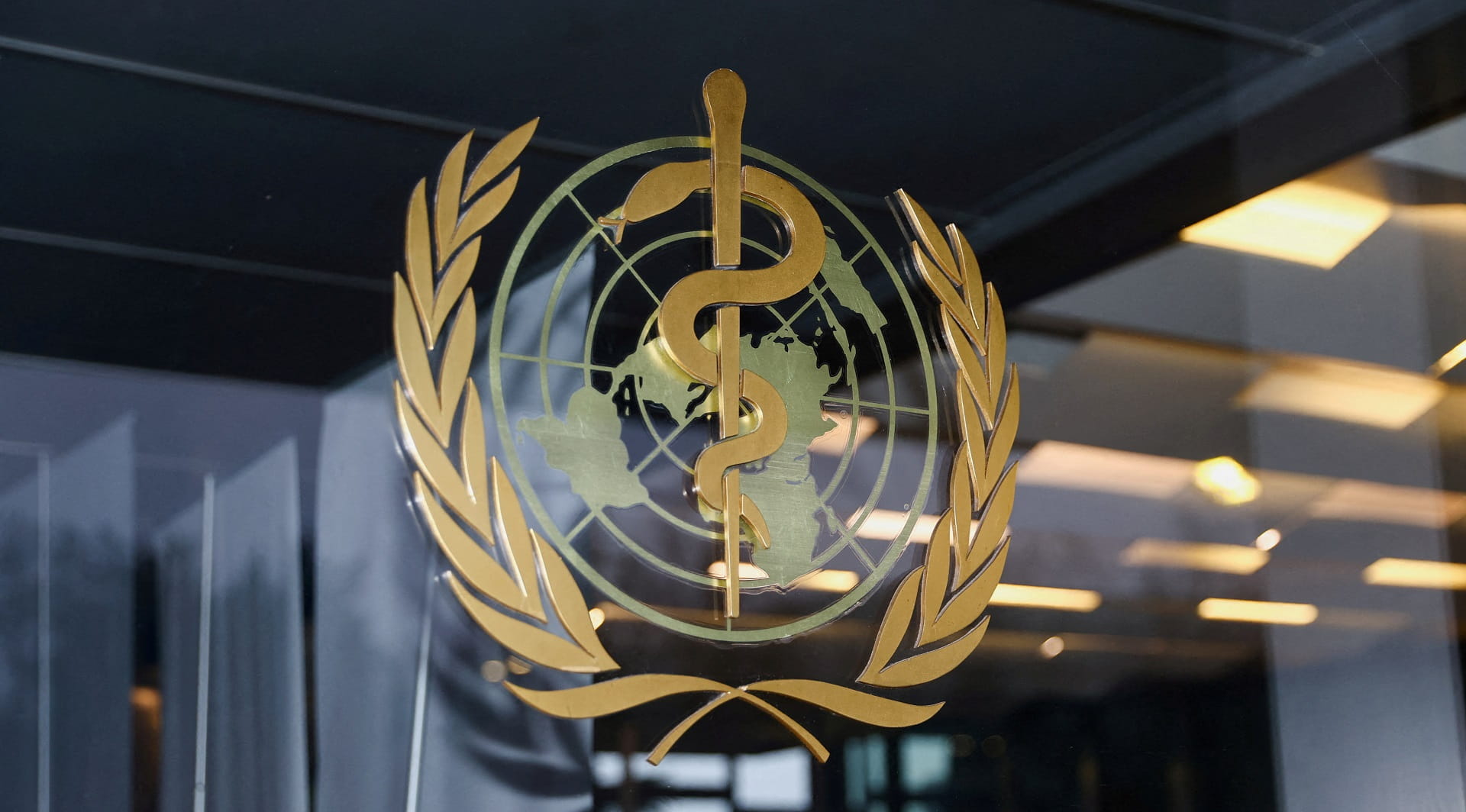 صورة بعنوان: الصحة العالمية تدعو الدول لزيادة سبل رصد الإصابة بجدري القردة 