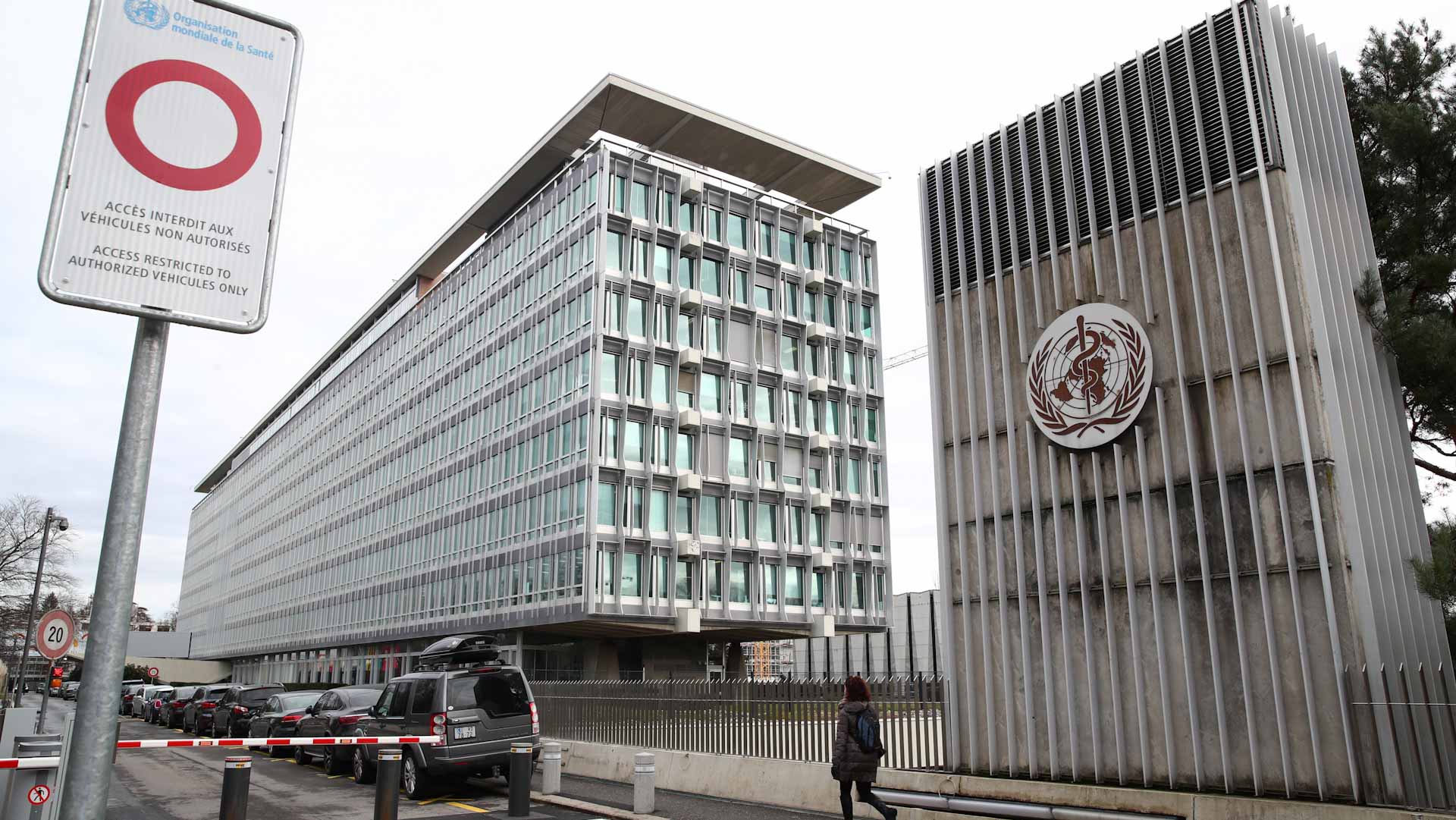 صورة بعنوان: "الصحة العالمية": يمكن احتواء جدري القردة إذا تحركنا الآن 