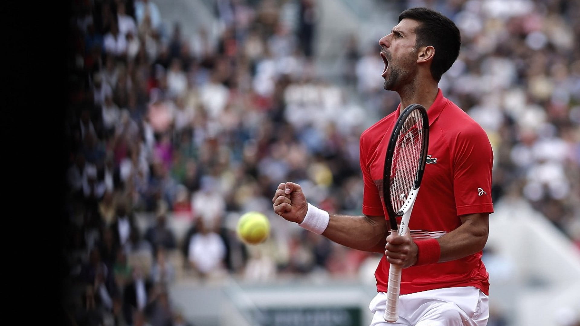 صورة بعنوان: ديوكوفيتش يتأهل لدور الثمانية في بطولة فرنسا المفتوحة للتنس  