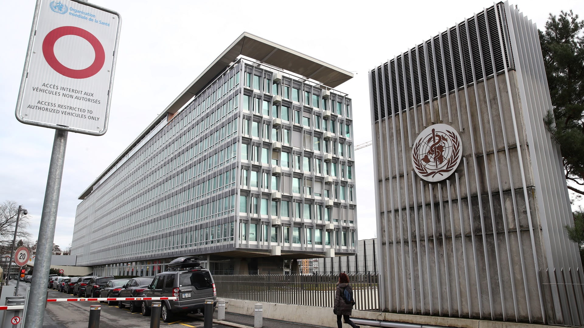 صورة بعنوان: منظمة الصحة تستبعد تحول انتشار جدري القردة إلى جائحة 