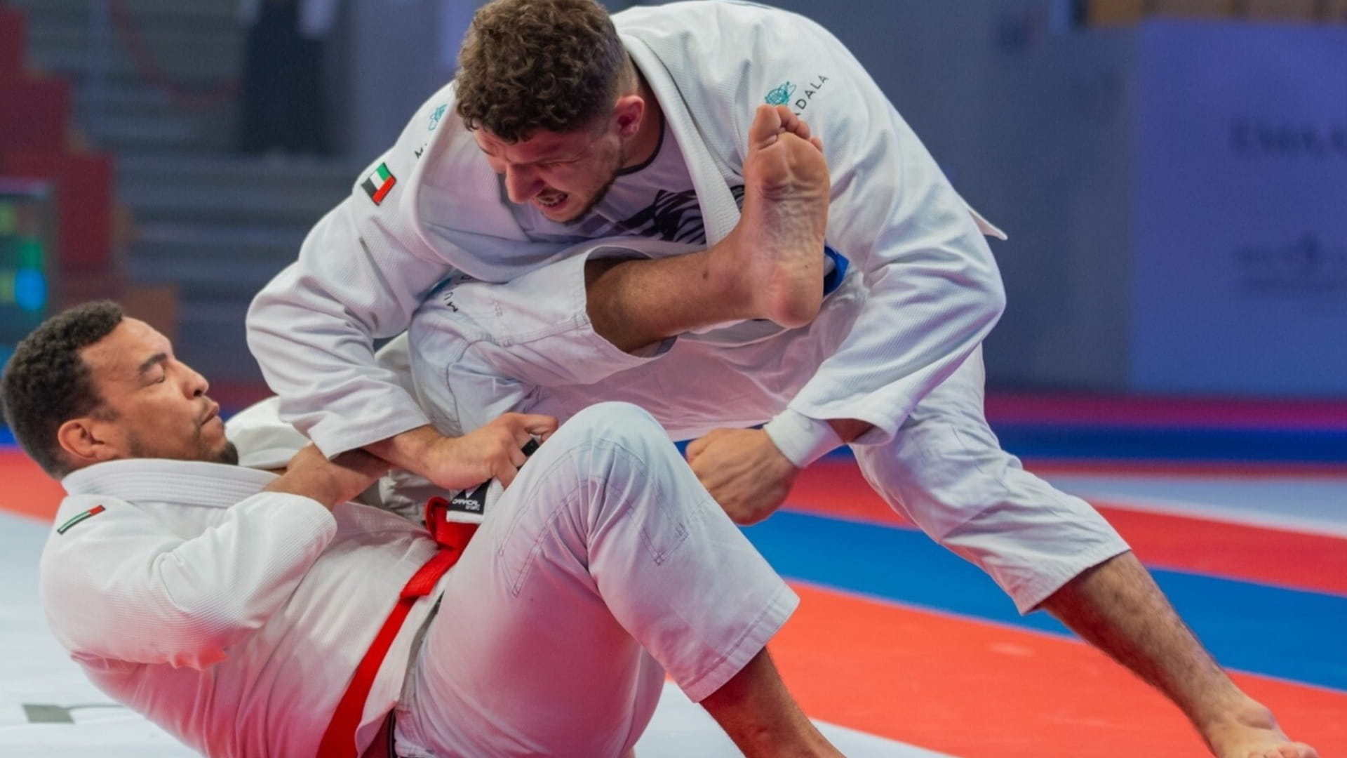 صورة بعنوان: نجوم الإمارات أبطال من ذهب في بطولة العالم للجوجيتسو 