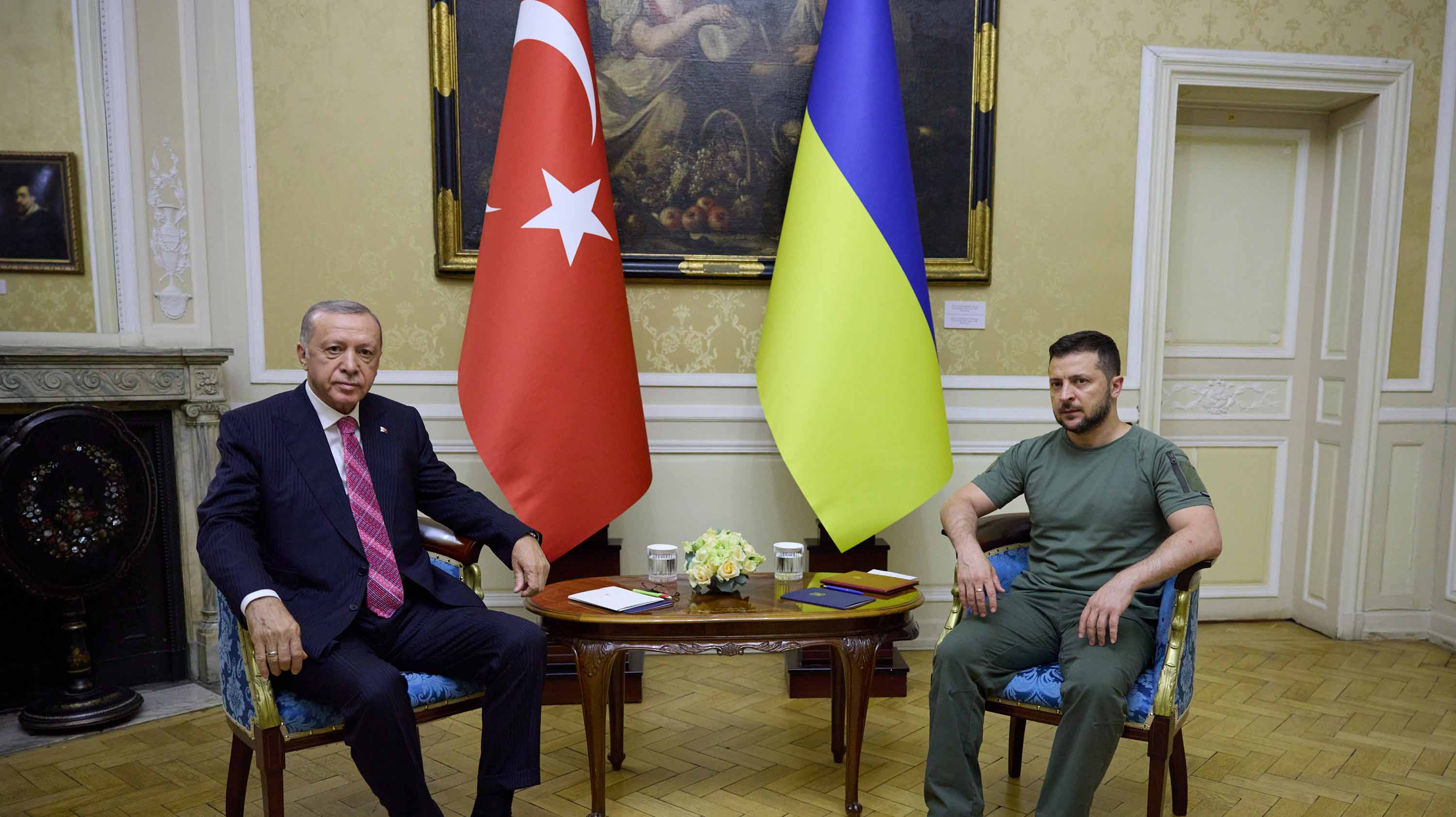 Image for the title: Erdogan discusses with Zelenskiy sending grains to AF countries 