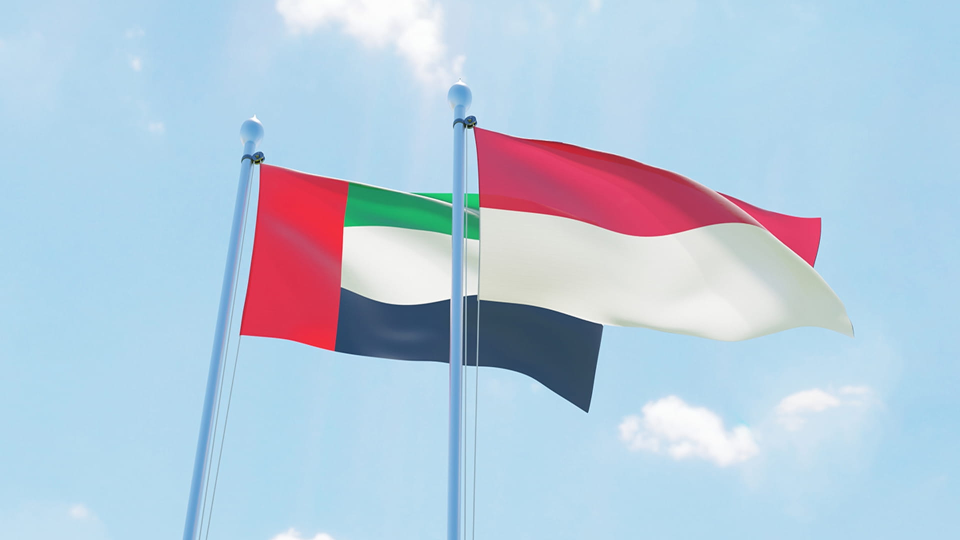 Image for the title: UAE, Indonesia to develop cooperation in energy sector 