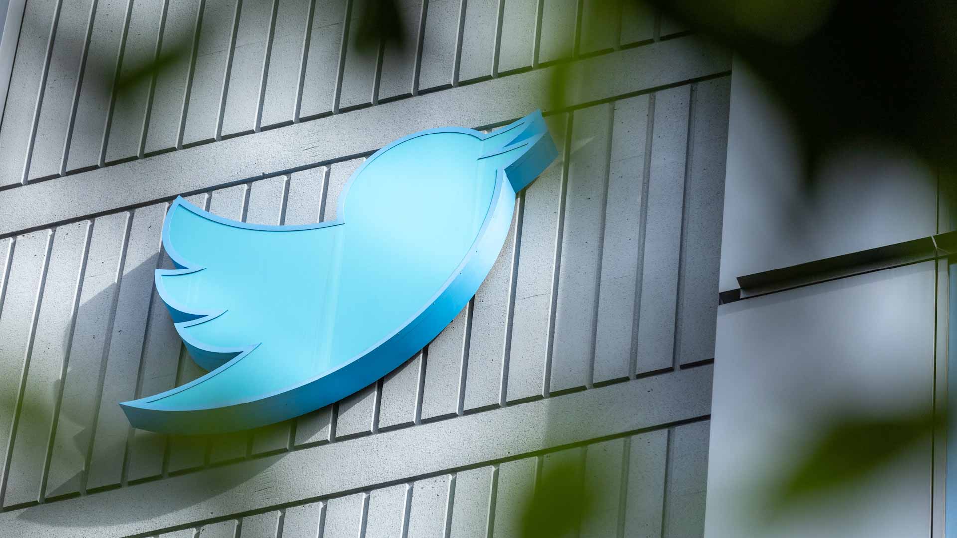 صورة بعنوان: تويتر تُظهر شعاراً جديداً يحمل كلمة "رسمي" على حسابات موثقة 