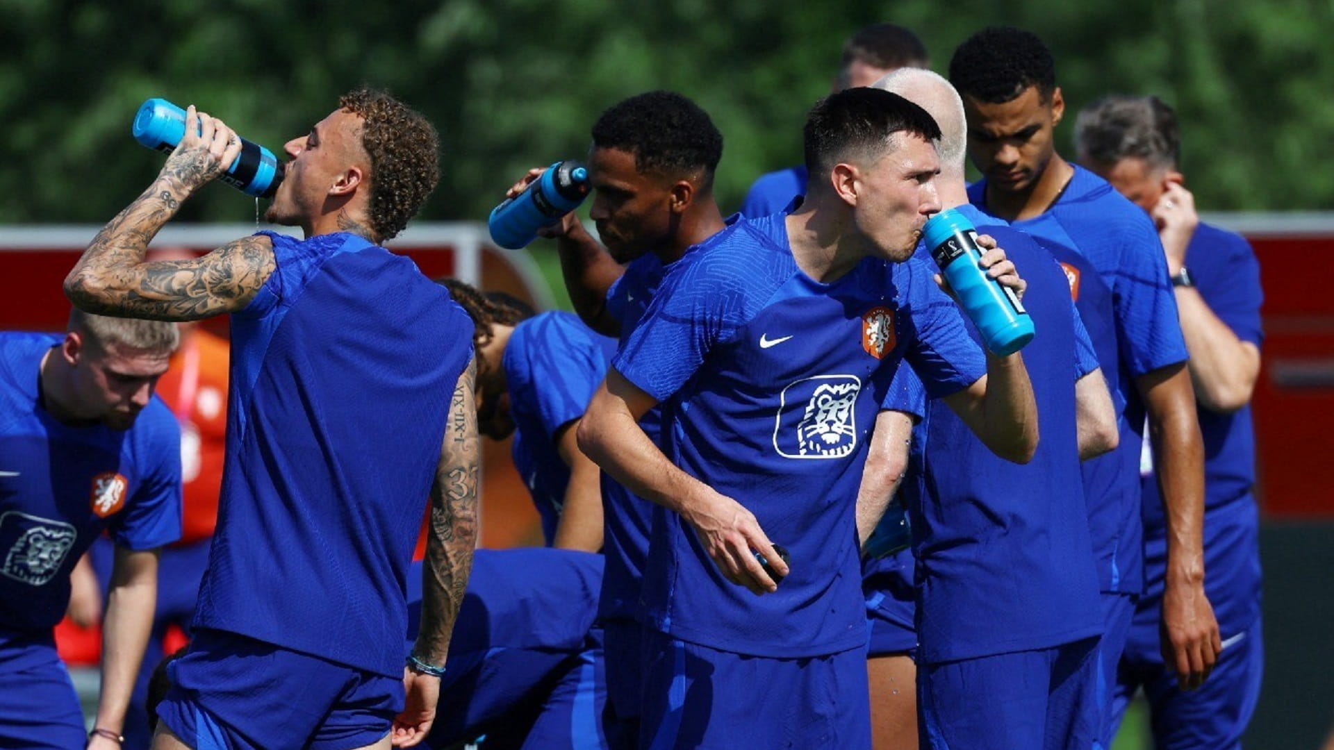 صورة بعنوان: اختبار صعب للمنتخب الهولندي أمام السنغال في كأس العالم 