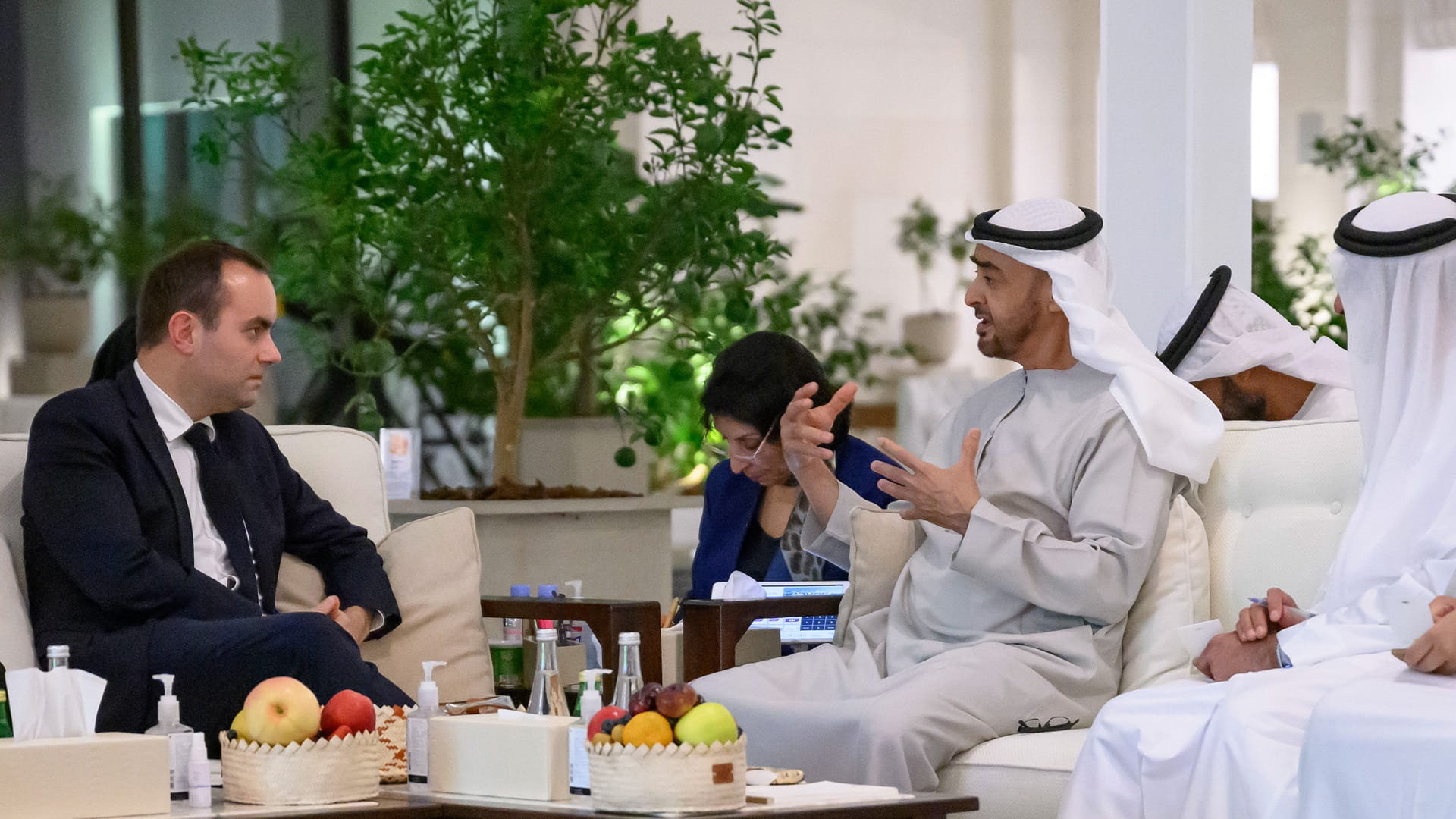 Image for the title: UAE President receives French Defence Minister 