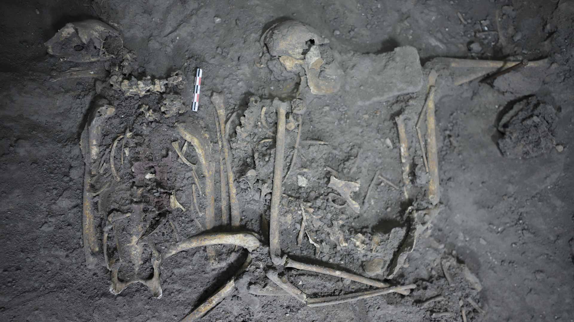 Image for the title: Ancient Maya gifted neighbors a spider monkey 