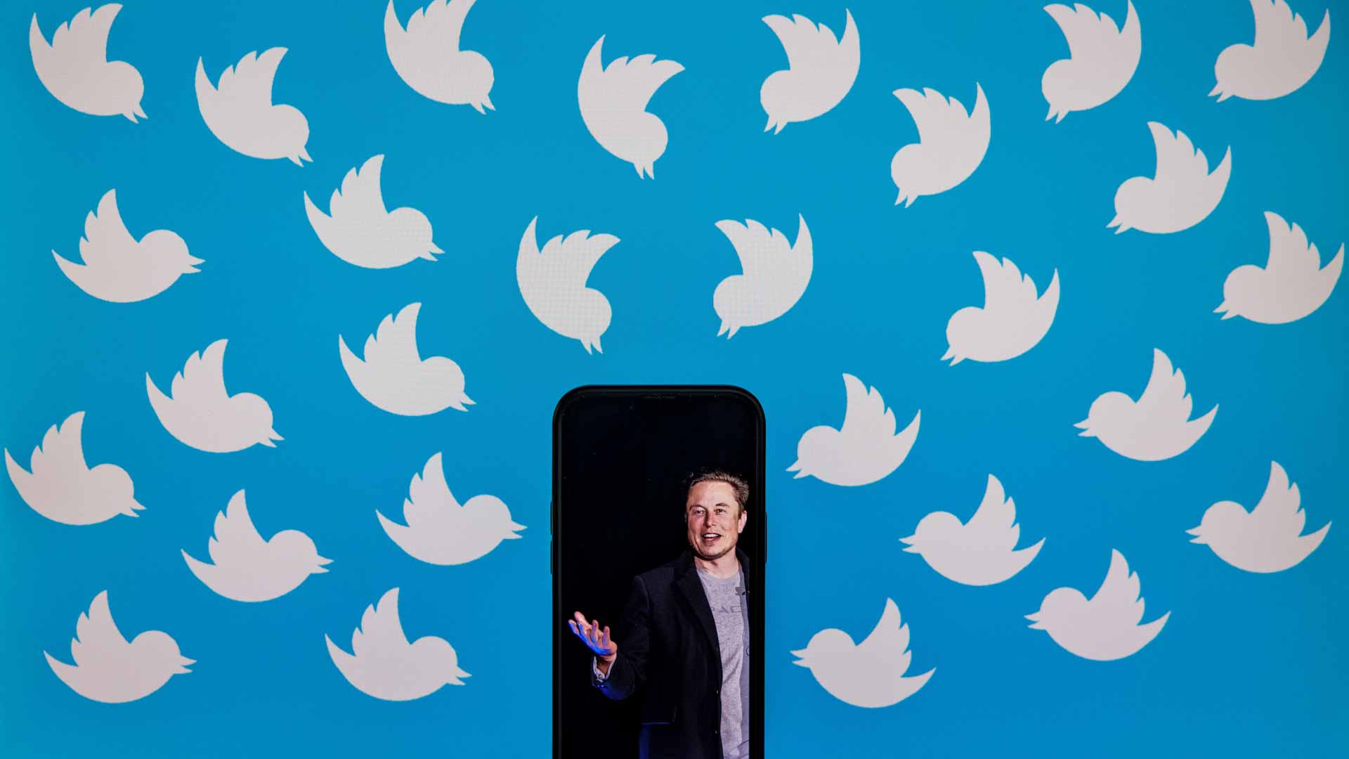 Image for the title: Musk unveils gold, gray, and blue Twitter account badges 