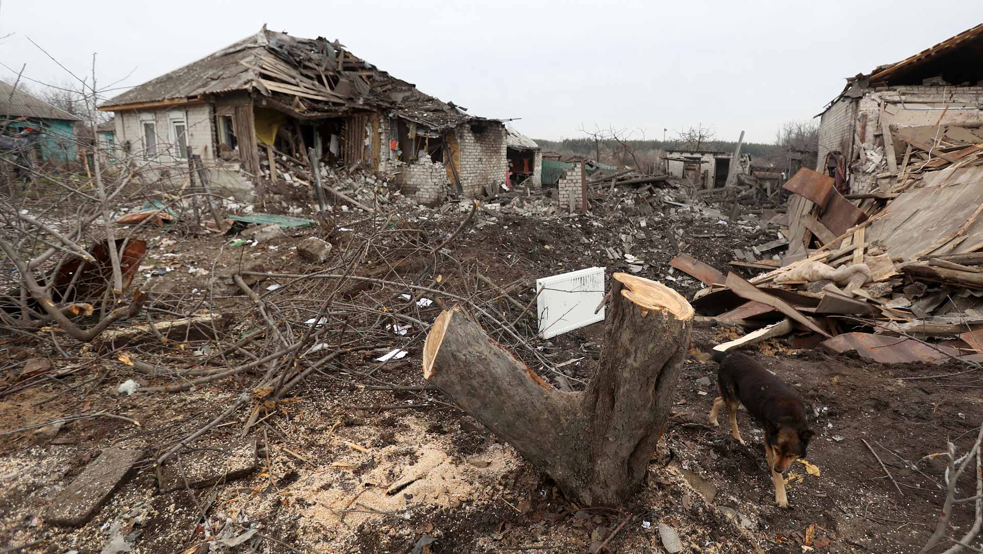 Image for the title: EU leaders pledge support to Ukraine 